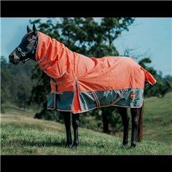 RUG5820 COGY-01
